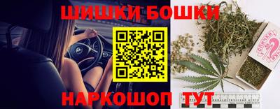 индика Балахна