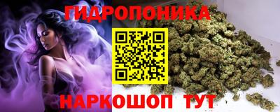 гашик Балаково