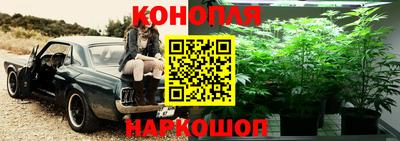 ПСИЛОЦИБИНОВЫЕ ГРИБЫ Волгодонск
