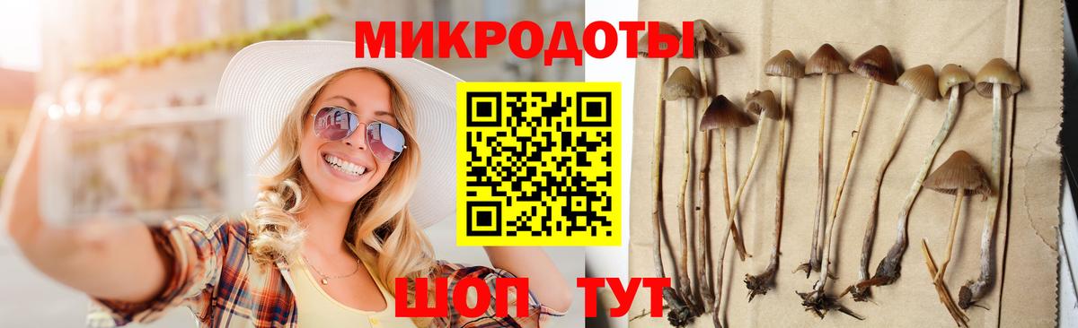 Галлюциногенные грибы Cubensis  Псилоцибиновые грибы прущие грибы  Жигулёвск  Вход с VPN 